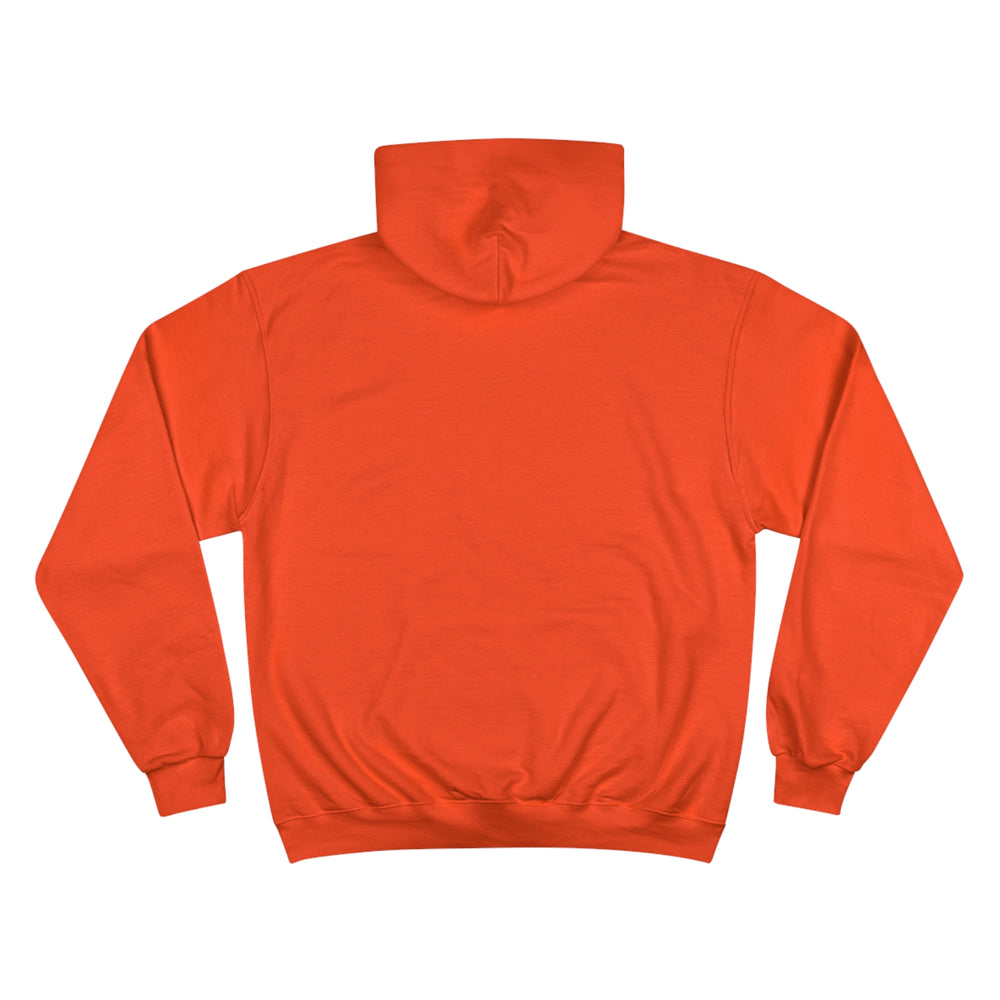 Pisces Champion Hoodie