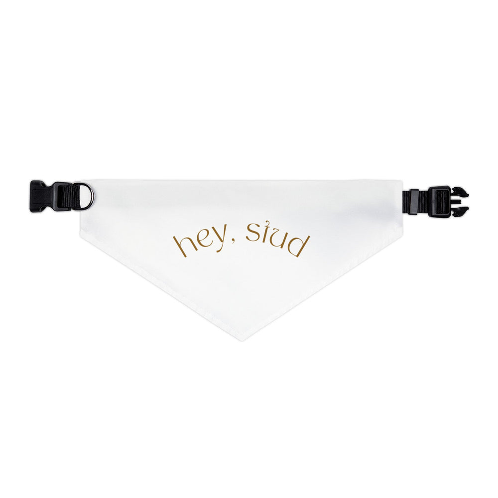 Hey Stud Pet Bandana Collar - For the Best Looking Pup on the Block
