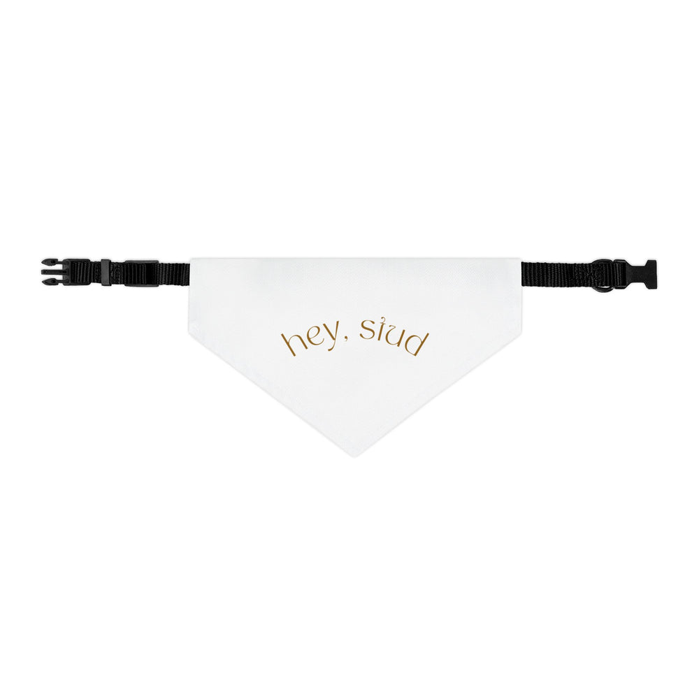 Hey Stud Pet Bandana Collar - For the Best Looking Pup on the Block