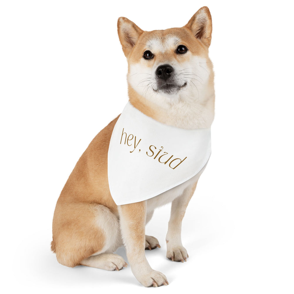Hey Stud Pet Bandana Collar - For the Best Looking Pup on the Block