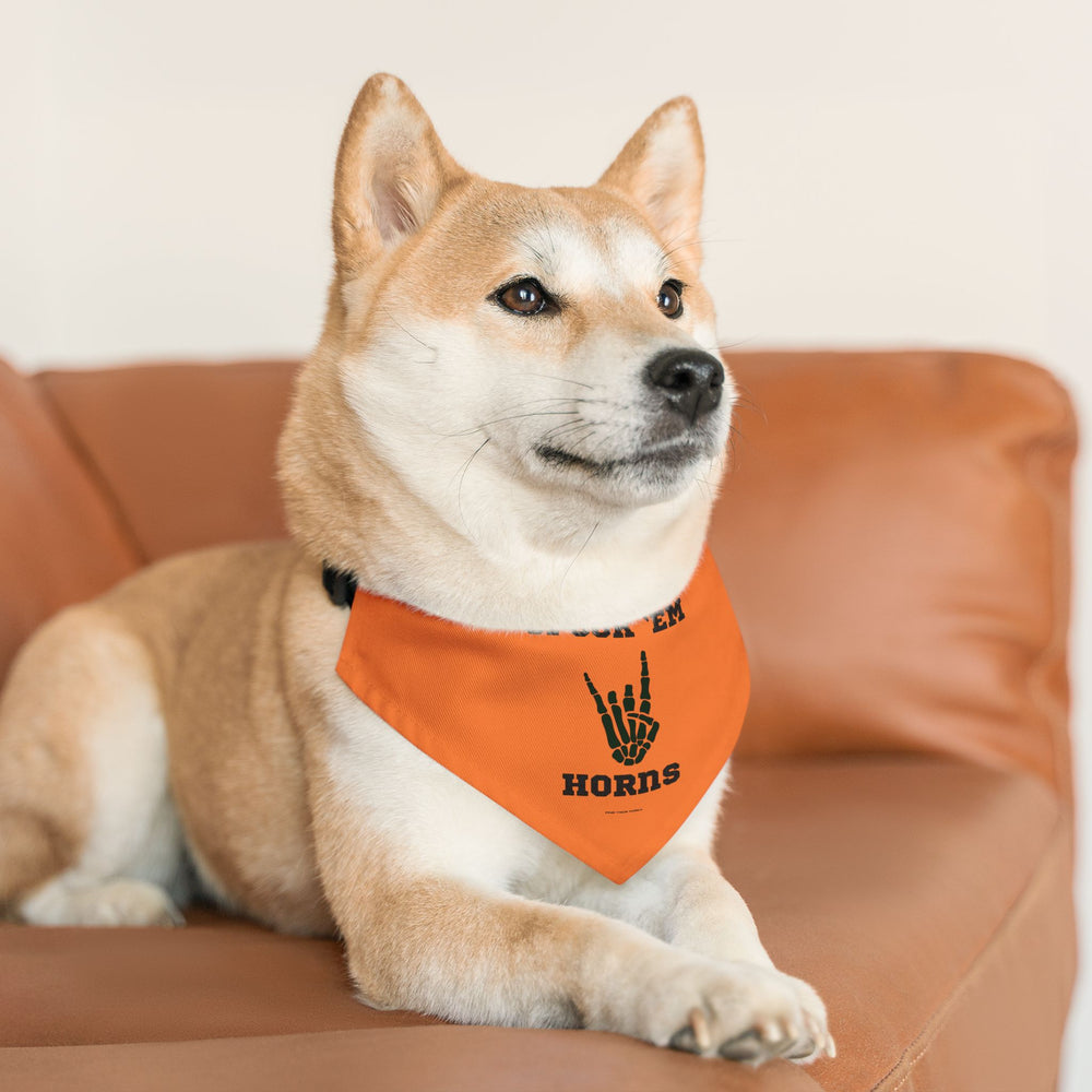 Spook 'Em! UT Longhorns Halloween Pet Bandana Collar
