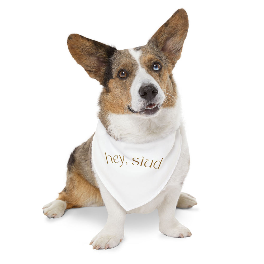 Hey Stud Pet Bandana Collar - For the Best Looking Pup on the Block