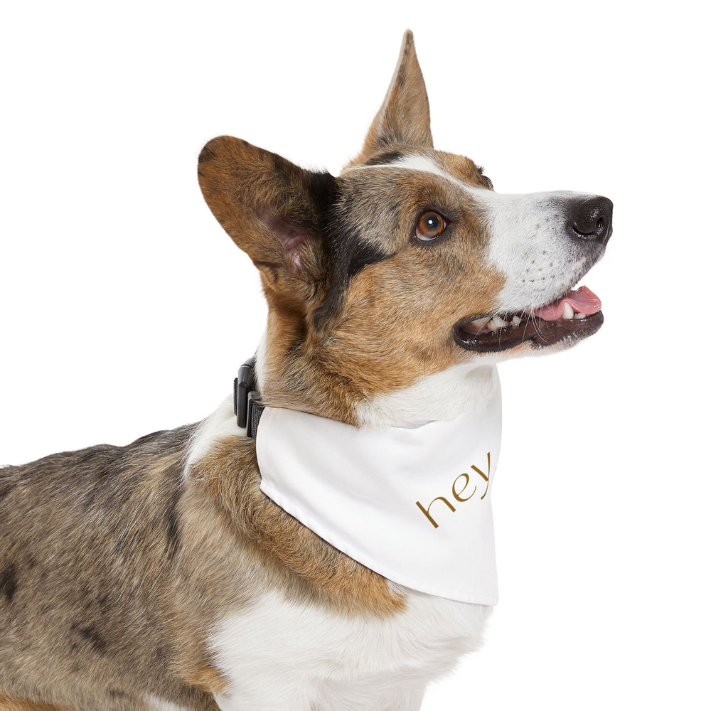 Hey Stud Pet Bandana Collar - For the Best Looking Pup on the Block