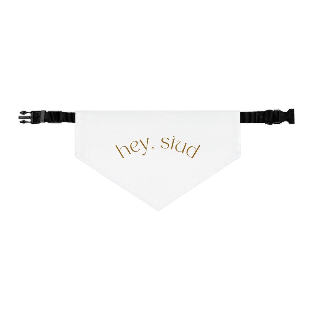 Hey Stud Pet Bandana Collar - For the Best Looking Pup on the Block