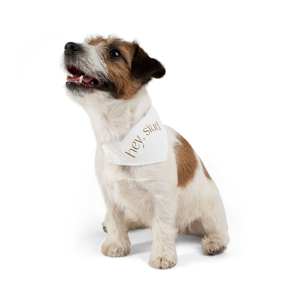 Hey Stud Pet Bandana Collar - For the Best Looking Pup on the Block