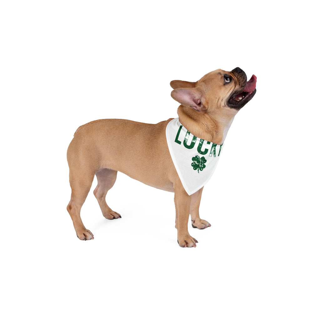 Lucky Clover Pet Bandana