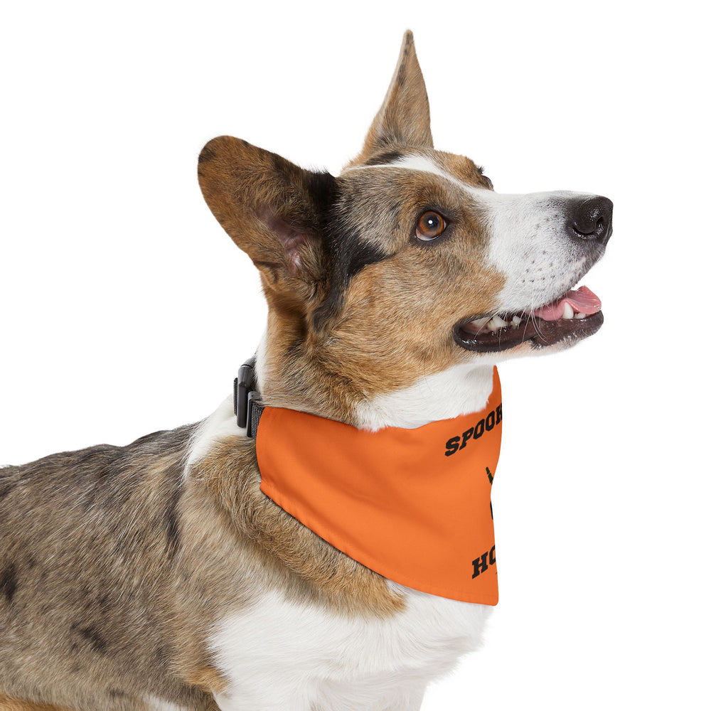 Spook 'Em! UT Longhorns Halloween Pet Bandana Collar