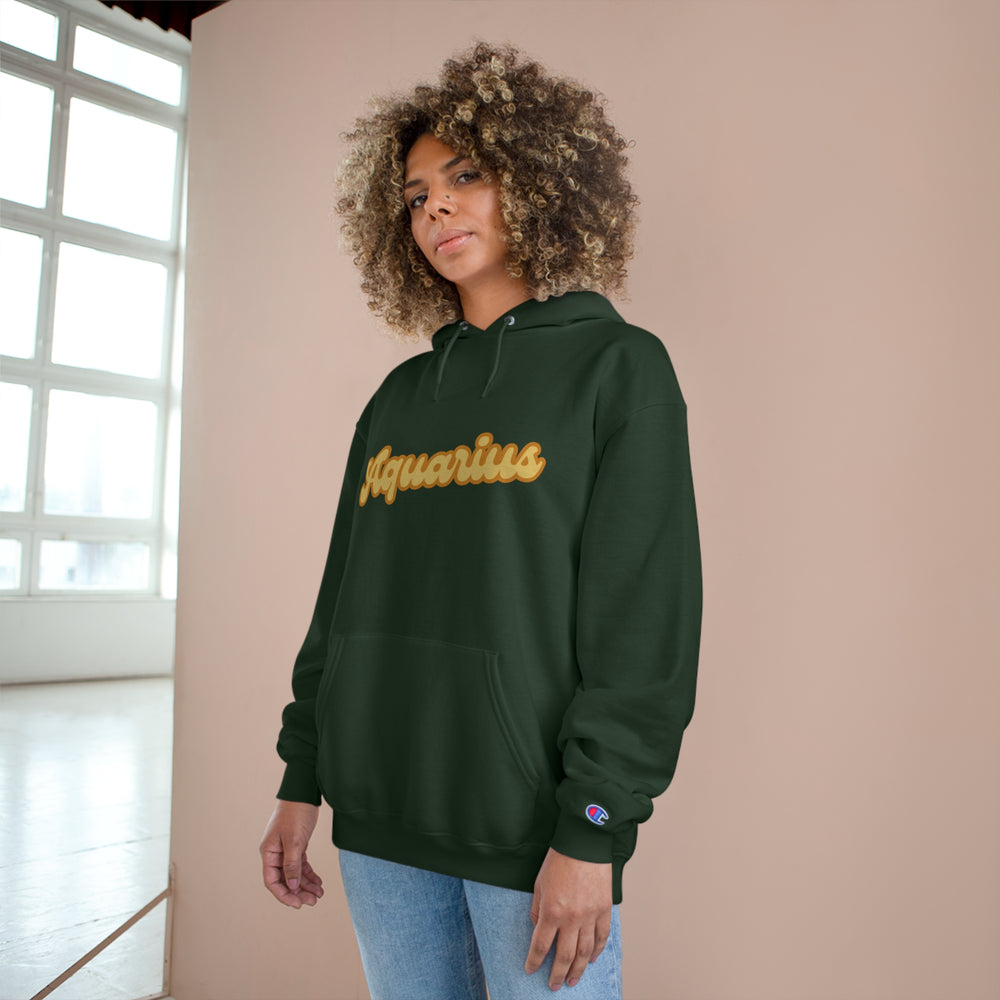 Aquarius Champion Hoodie