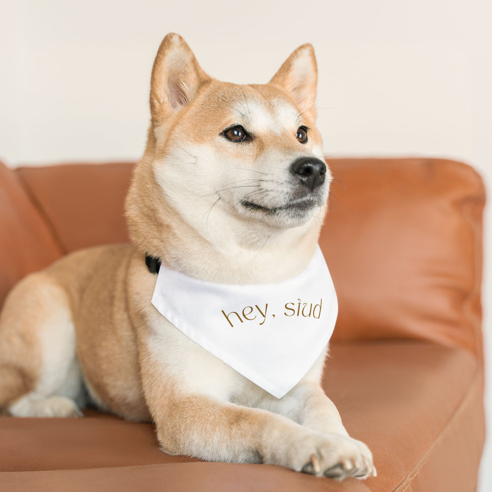 Hey Stud Pet Bandana Collar - For the Best Looking Pup on the Block