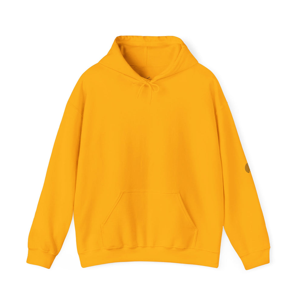 ✨ High Vibrational Living Hoodie