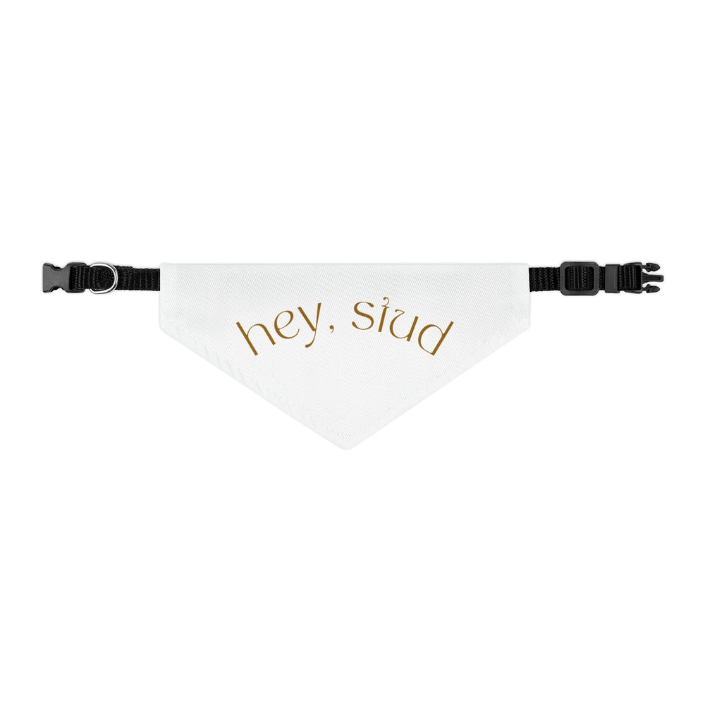 Hey Stud Pet Bandana Collar - For the Best Looking Pup on the Block