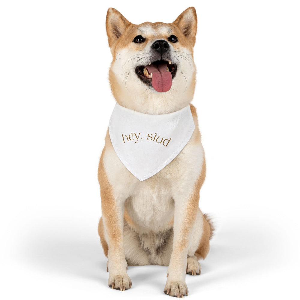 Hey Stud Pet Bandana Collar - For the Best Looking Pup on the Block
