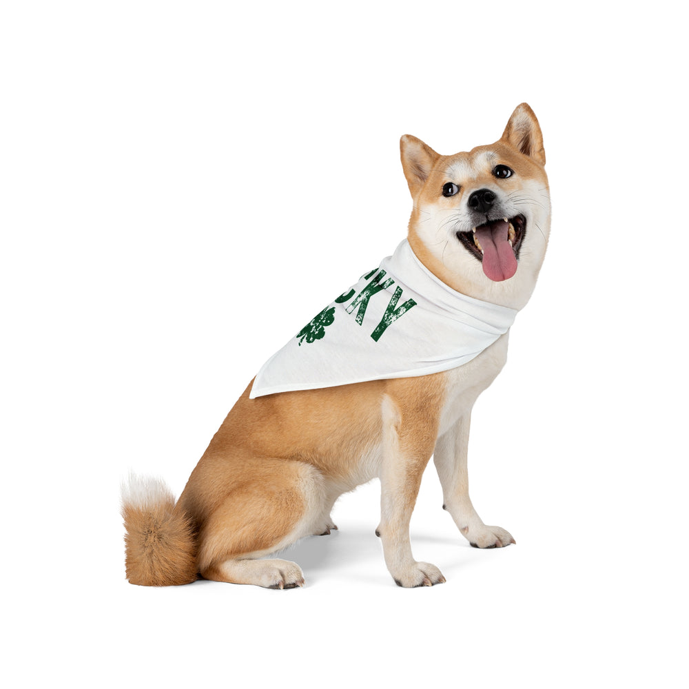 Lucky Clover Pet Bandana